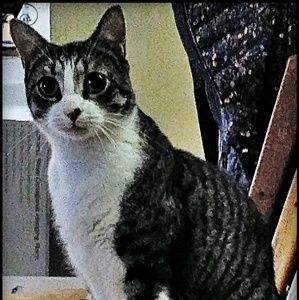 Meet your Posher, Natane